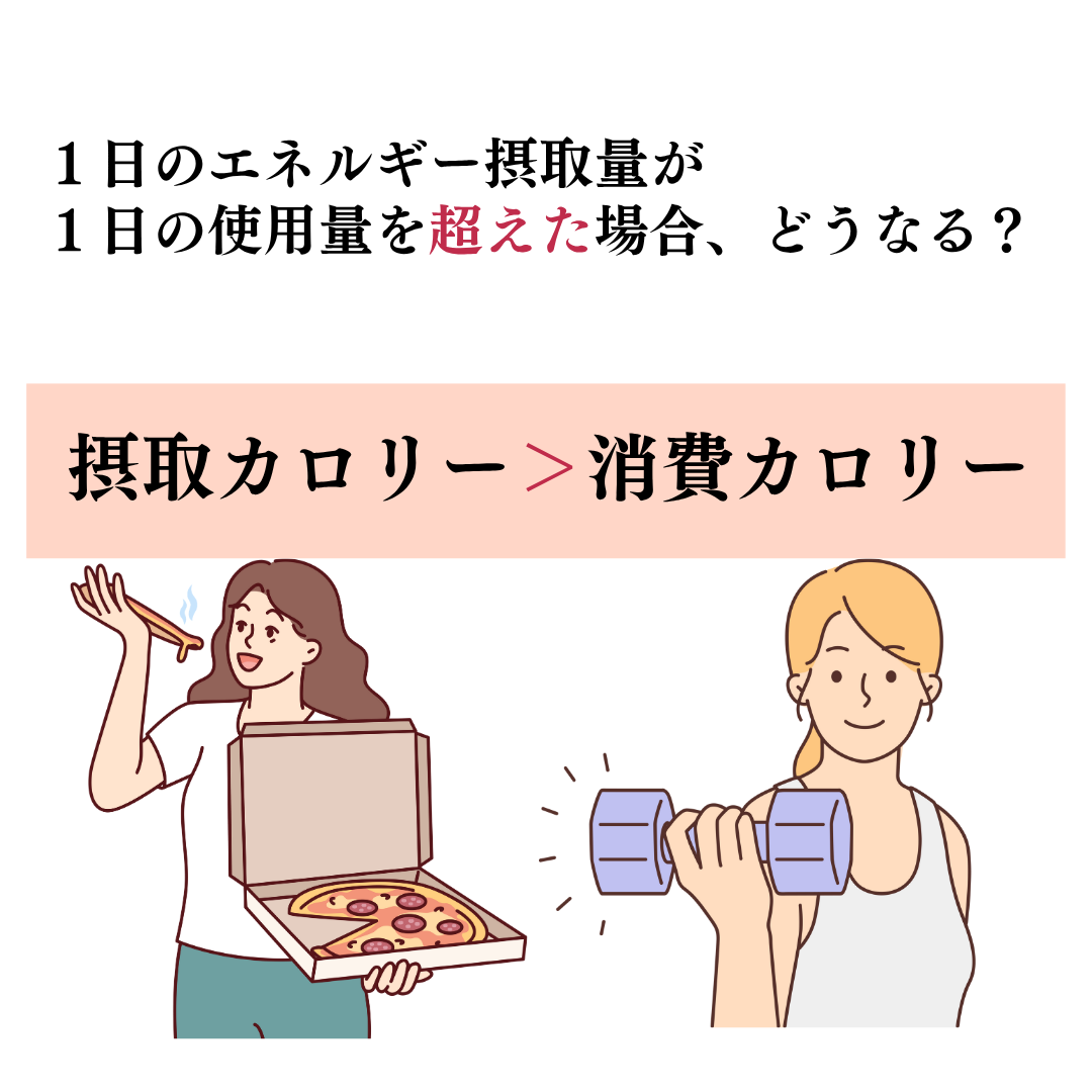 1日のエネルギー摂取量が多いとどうなる?