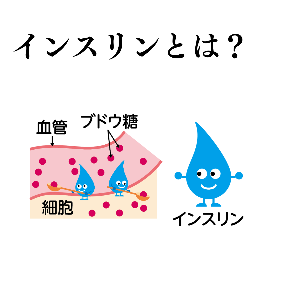 インスリンとは?