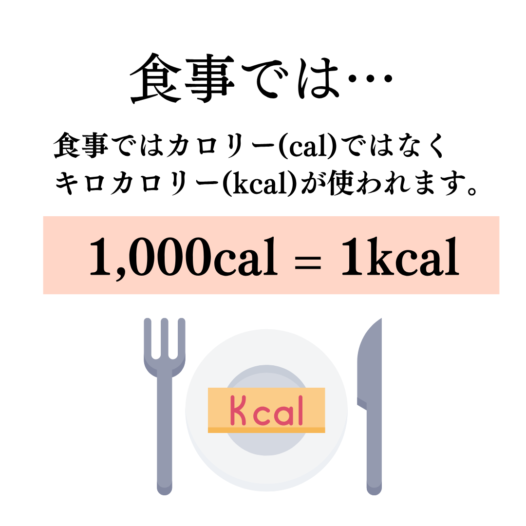 食事のカロリー