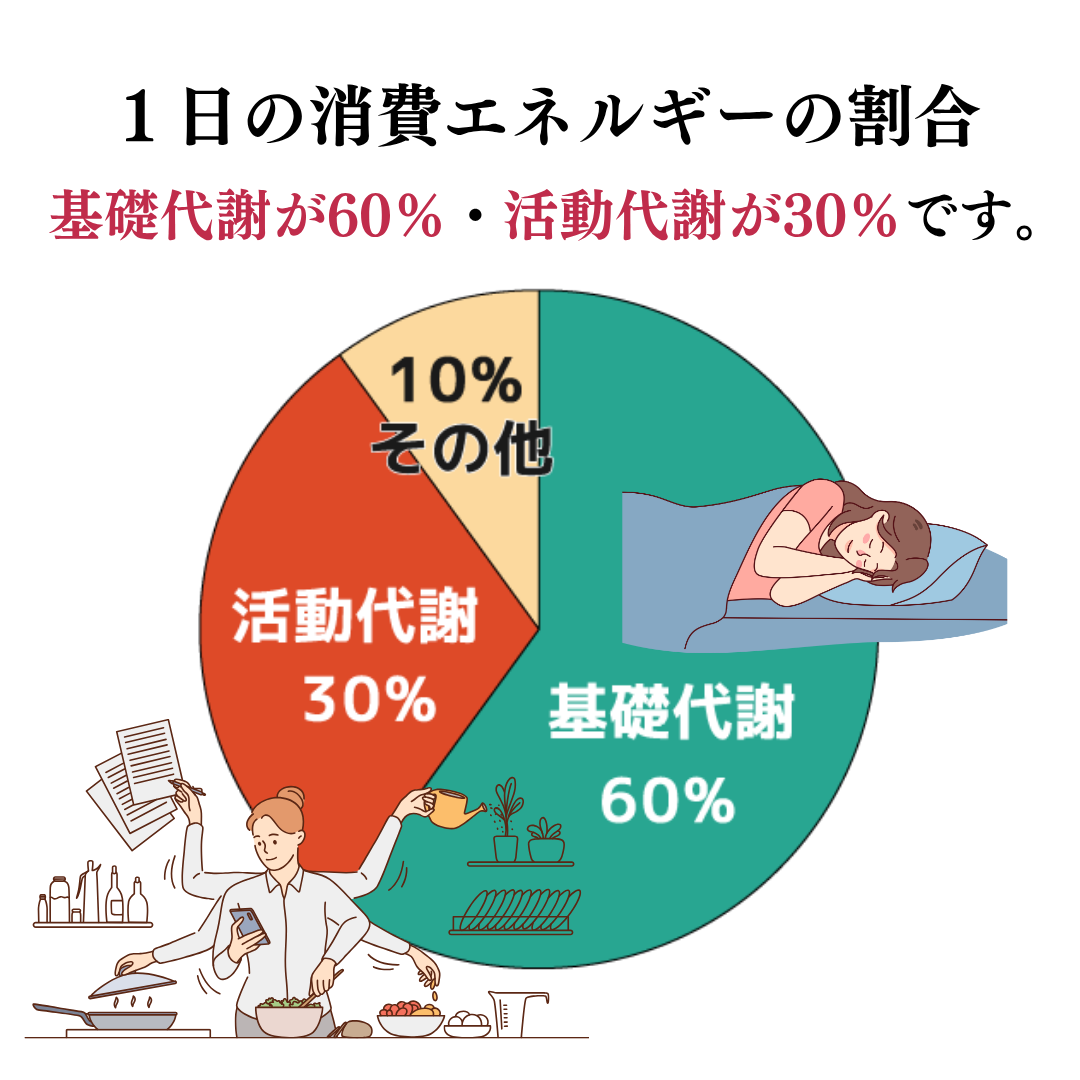 1日の諸費エネルギーの割合